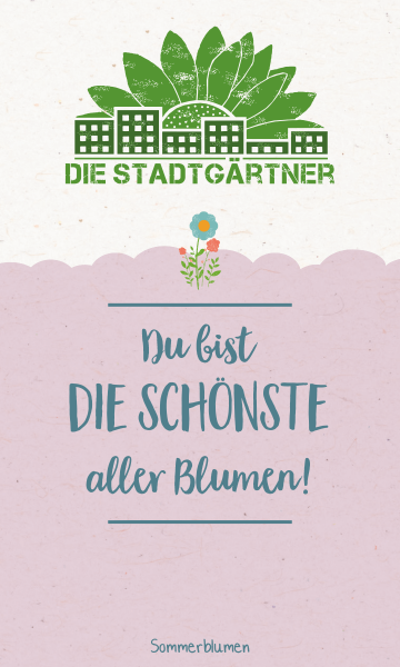 Du bist die schönste aller Blumen